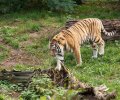 zoo duisburg 2019 zoo duisburg 2019