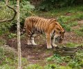 zoo duisburg 2019 zoo duisburg 2019