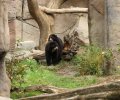 zoo duisburg 2019 zoo duisburg 2019