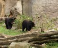 zoo duisburg 2019 zoo duisburg 2019