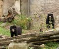 zoo duisburg 2019 zoo duisburg 2019