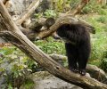 zoo duisburg 2019 zoo duisburg 2019