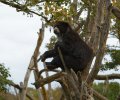 zoo duisburg 2019 zoo duisburg 2019