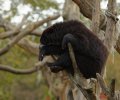 zoo duisburg 2019 zoo duisburg 2019