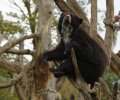 zoo duisburg 2019 zoo duisburg 2019