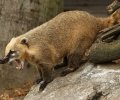 zoo duisburg 2019 zoo duisburg 2019