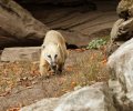 zoo duisburg 2019 zoo duisburg 2019