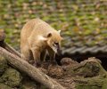 zoo duisburg 2019 zoo duisburg 2019