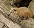 zoo duisburg 2019 zoo duisburg 2019