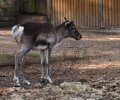 zoo duisburg 2019 zoo duisburg 2019