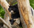 zoo duisburg 2021 zoo duisburg 2021