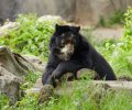 zoo duisburg 2021 zoo duisburg 2021