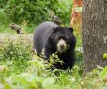 zoo duisburg 2021 zoo duisburg 2021