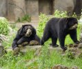 zoo duisburg 2021 zoo duisburg 2021