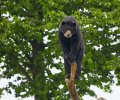 zoo duisburg 2021 zoo duisburg 2021