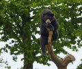 zoo duisburg 2021 zoo duisburg 2021