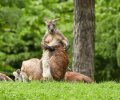 zoo duisburg 2021 zoo duisburg 2021
