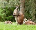 zoo duisburg 2021 zoo duisburg 2021
