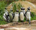 zoo duisburg 2021 zoo duisburg 2021