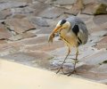 zoo duisburg 2021 zoo duisburg 2021