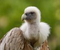 zoo duisburg 2021 zoo duisburg 2021