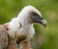 zoo duisburg 2021 zoo duisburg 2021
