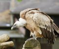 zoo duisburg 2021 zoo duisburg 2021