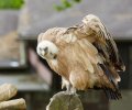 zoo duisburg 2021 zoo duisburg 2021