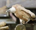 zoo duisburg 2021 zoo duisburg 2021