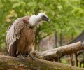 zoo duisburg 2021 zoo duisburg 2021
