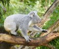 zoo duisburg 2021 zoo duisburg 2021