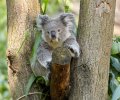 zoo duisburg 2021 zoo duisburg 2021