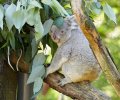 zoo duisburg 2021 zoo duisburg 2021