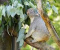 zoo duisburg 2021 zoo duisburg 2021