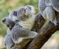 zoo duisburg 2021 zoo duisburg 2021