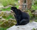 zoo duisburg 2023 zoo duisburg 2023