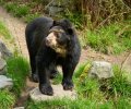 zoo duisburg 2023 zoo duisburg 2023