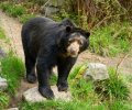 zoo duisburg 2023 zoo duisburg 2023