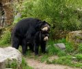 zoo duisburg 2023 zoo duisburg 2023