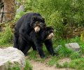 zoo duisburg 2023 zoo duisburg 2023