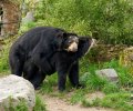 zoo duisburg 2023 zoo duisburg 2023