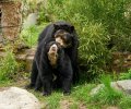 zoo duisburg 2023 zoo duisburg 2023