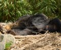 zoo duisburg 2023 zoo duisburg 2023