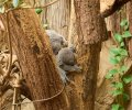 zoo duisburg 2023 zoo duisburg 2023
