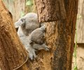 zoo duisburg 2023 zoo duisburg 2023