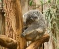 zoo duisburg 2023 zoo duisburg 2023