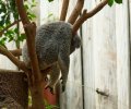 zoo duisburg 2023 zoo duisburg 2023