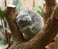 zoo duisburg 2023 zoo duisburg 2023