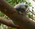 zoo duisburg 2023 zoo duisburg 2023