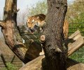 zoo duisburg 2023 zoo duisburg 2023